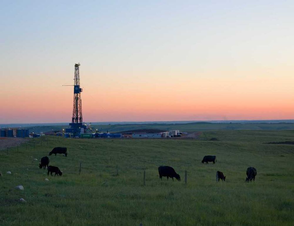 Statoil skal bore blant kuer og lykkejegere i Nord Dakota.