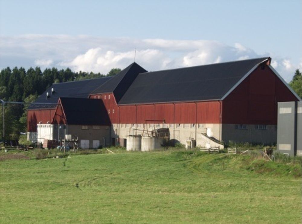 FOR GAMMELT: Dagens driftsbygning for Senter for husdyrforsøk må vike plassen for et nytt. Det blir en arkitektonisk og ingeniørmessig utfordring.