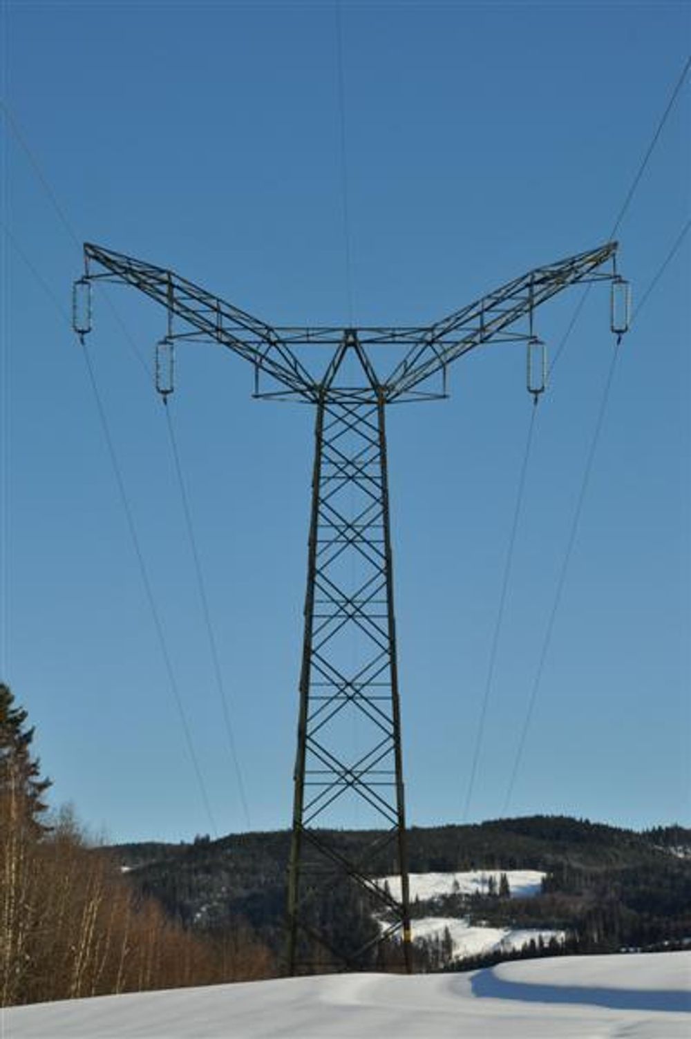 ENGLEMAST: Kraftledningen Nore¿Oslo fra 1928, her representert gjennom ¿englemast¿ i Sørkedalen.