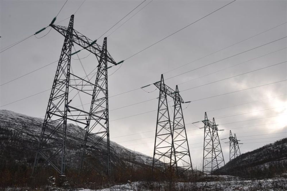 FORANKRINGSMASTER: Ledninger fra Innsetverkene. Forankringsmaster på fire parallelle ledninger ut fra Straumsmo.