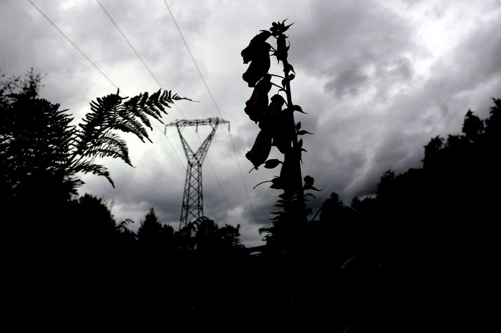 SÅRBARE: I Hordaland har 260 elektrokjeler  blitt koblet ut, for å avlaste strømnettet