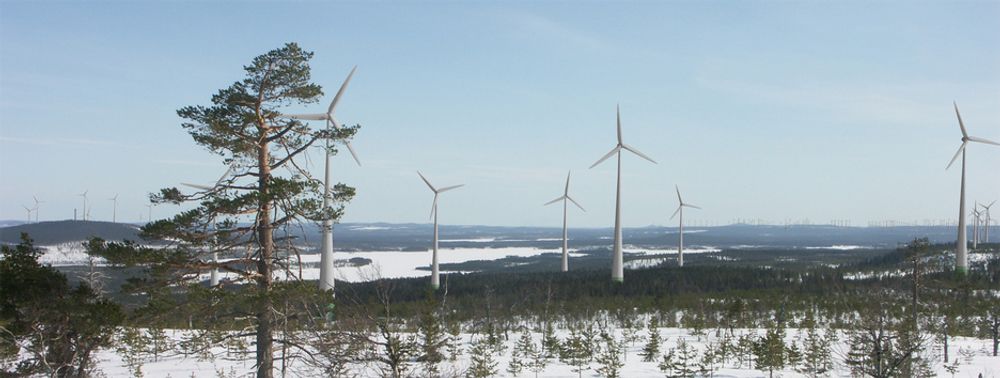 GLESBYGDEN: Landskapene i Norrbotten er småkupert uten store variasjoner og er velegnet for store vindparkutbygginger. Her fra Hästberget i Markbygden.