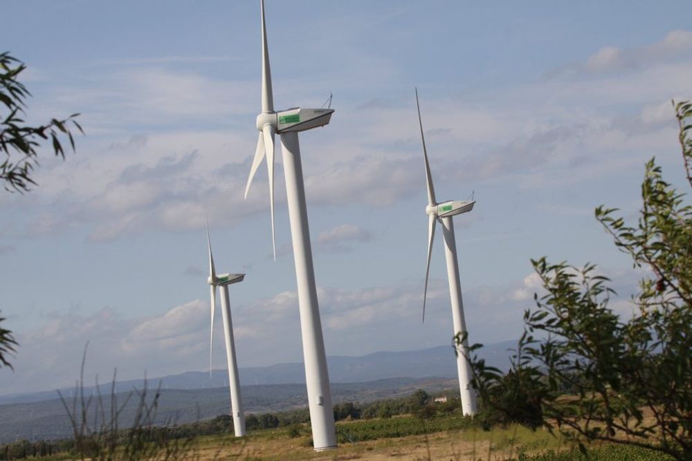 MER LØNNSOMT: Siemens' fornybarsjef René Umlauft tror vindkraft vil kunne produseres til markedspris uten subsidier om åtte år.