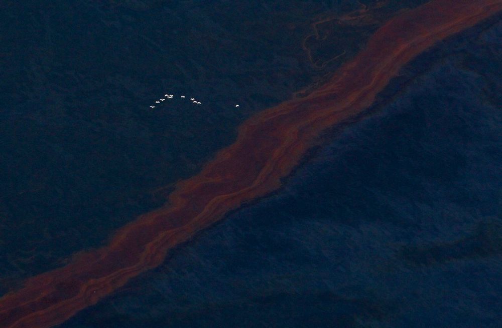ANKLAGER BP: Nordmenn som deltok i redningsarbeidet etter oljekatastrofen i Mexicogolfen hevder BP har drevet med direkte løgn hva utslippets omfang angår.