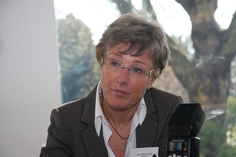 Statssekretær Sigrid Hjørnegård avslo søknaden fra Senterpartiet.