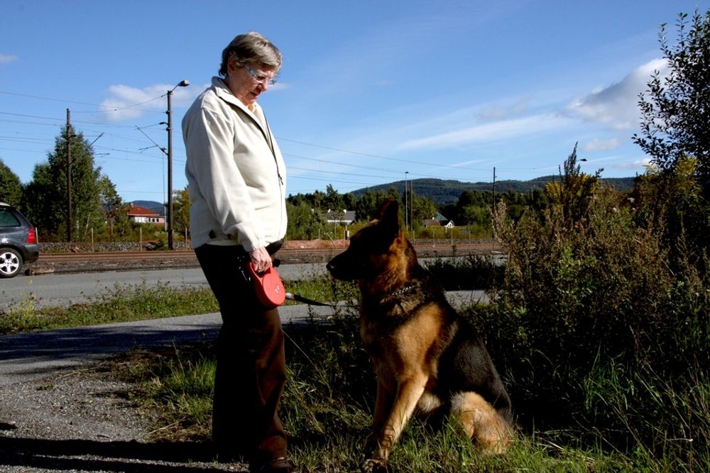 INDUSTRIELL SPASERTUR: Edith Jensen og hunden Aron (4) spaserer mellom togskinner og industriområder på Lierstranda. Hun skulle gjerne sett mer av fjorden, og er positiv til Gjelstens utviklingsplaner.
