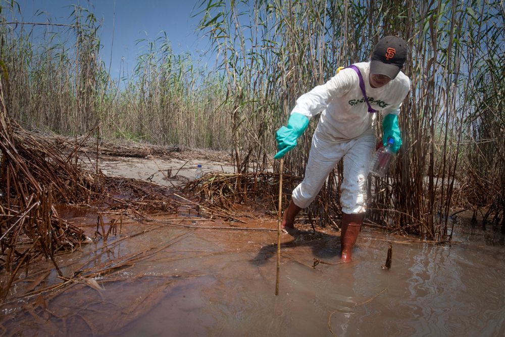 Oljesølet fra Mexicogolfen kan bli ført langt av gårde, frykter amerikanske myndigheter.