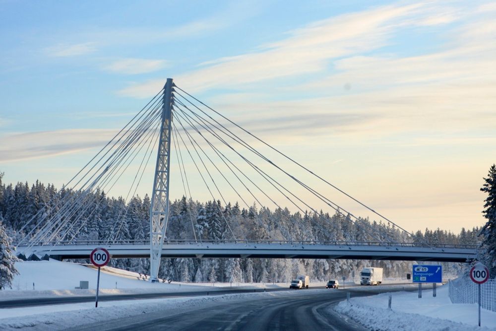 KOLOMOEN BRU: "Brua er flott og luftig. Konstruksjoner der det tilsynelatende er benyttet for spinkle materialer er som regel vakre. Den kunne vært kalt Hedemarksportalen eller grinda som viser veien til Hedemarken", heter det i en begrunnelse fra en leser.