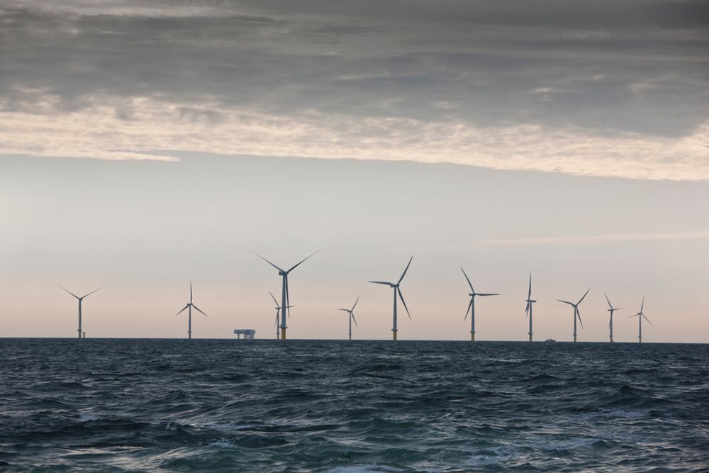 GAV NEGATIVE PRISER: Stor produksjon av vindkraft bidro til at energibransjen i Danmark måtte betale for å levere strøm i noen timer i julen. Dette er danske Horns Rev 2, verdens største havvindpark på 209 MW. Målet med negative priser er å få justert strømproduksjonen etter forbruket.