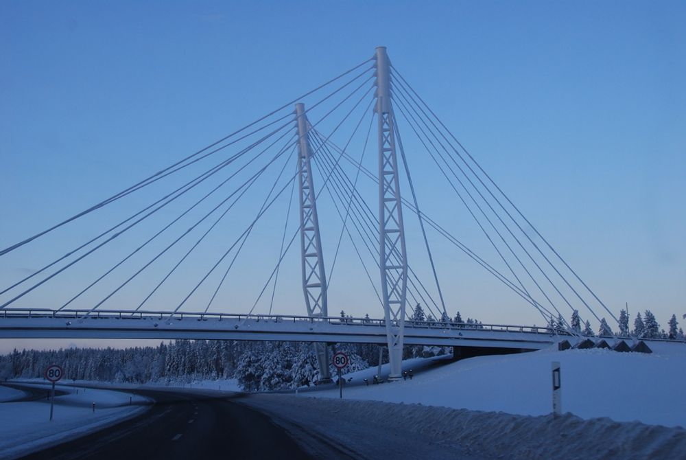 KANDIDAT 5: Kolomoen bro sto ferdig i forbindelse med ny E6 over Kolomoen i 2009. Den er rundt 70 meter lang.