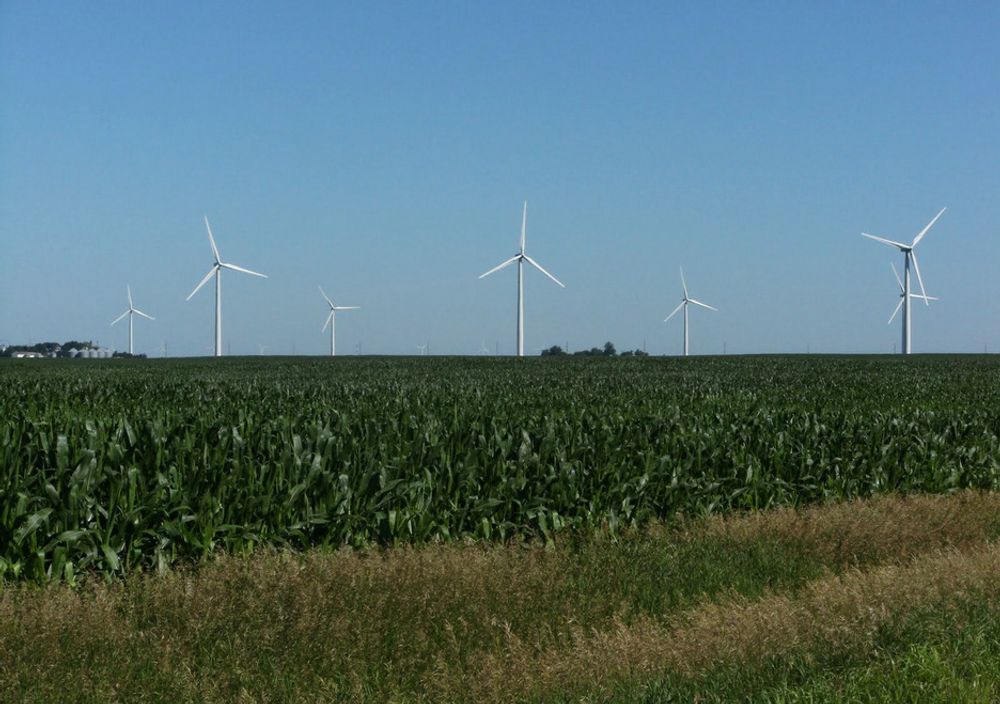 Fra denne vindparken i Iowa kjøper Google 114 MW i 20 år fremover.