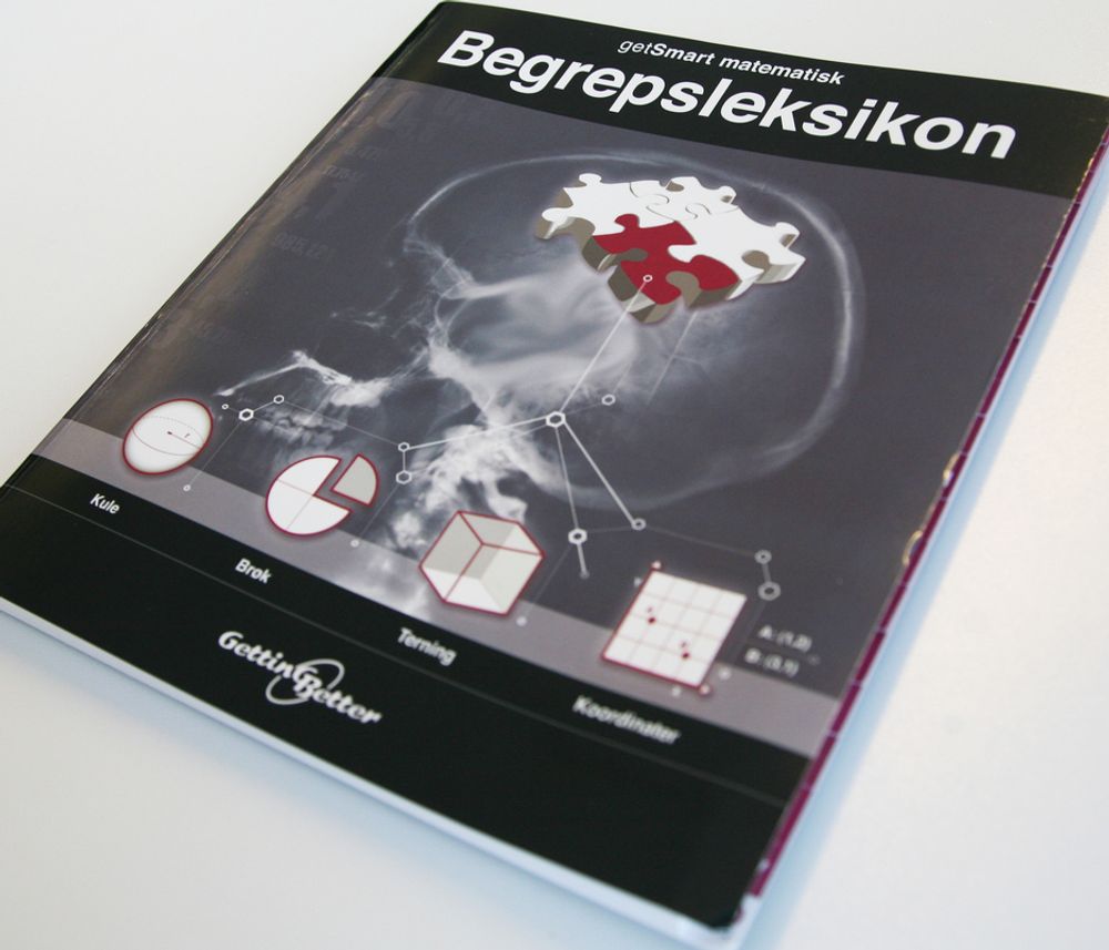 BOK: Med dette leksikonet kan norske elever styrke sin matematikkforståelse.