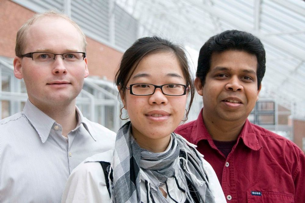 PhD: Håkon Viumdal fra Norge, Jingyi Han fra Kina og Deshai Botheju fra Sri Lanka er blant dagens 34 doktorgradsstipendiater i Porsgrunn.