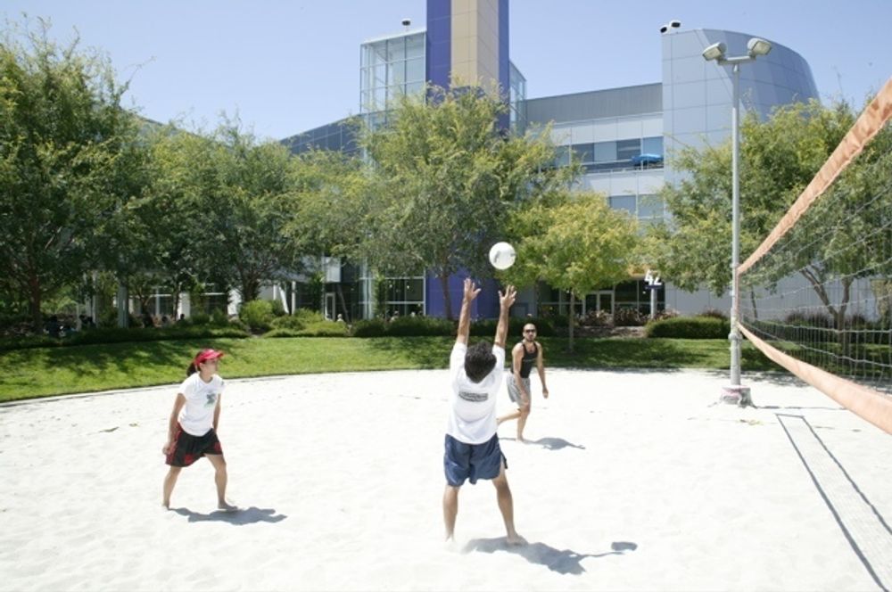 NYTT: Fasiliteter for volleyball er en av godene ved å jobbe for Google.