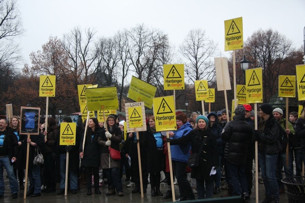 LOKAL MOTSTAND: Det var den lokale motstaden som vekket Odfjells interesse for saken. Her fra en demonstrasjon foran Stortinget.