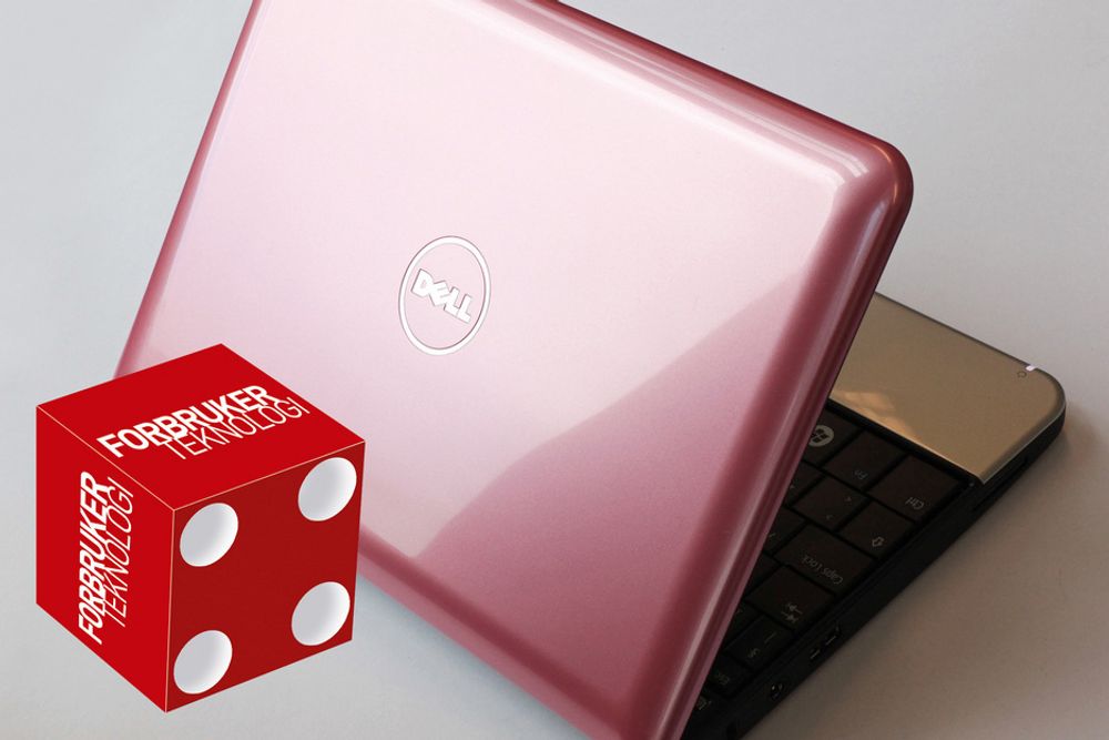 Dell Inspiron Mini 10 fåes i mange farger - blant annet rosa. Dermed kan den appellere til mange grupper.