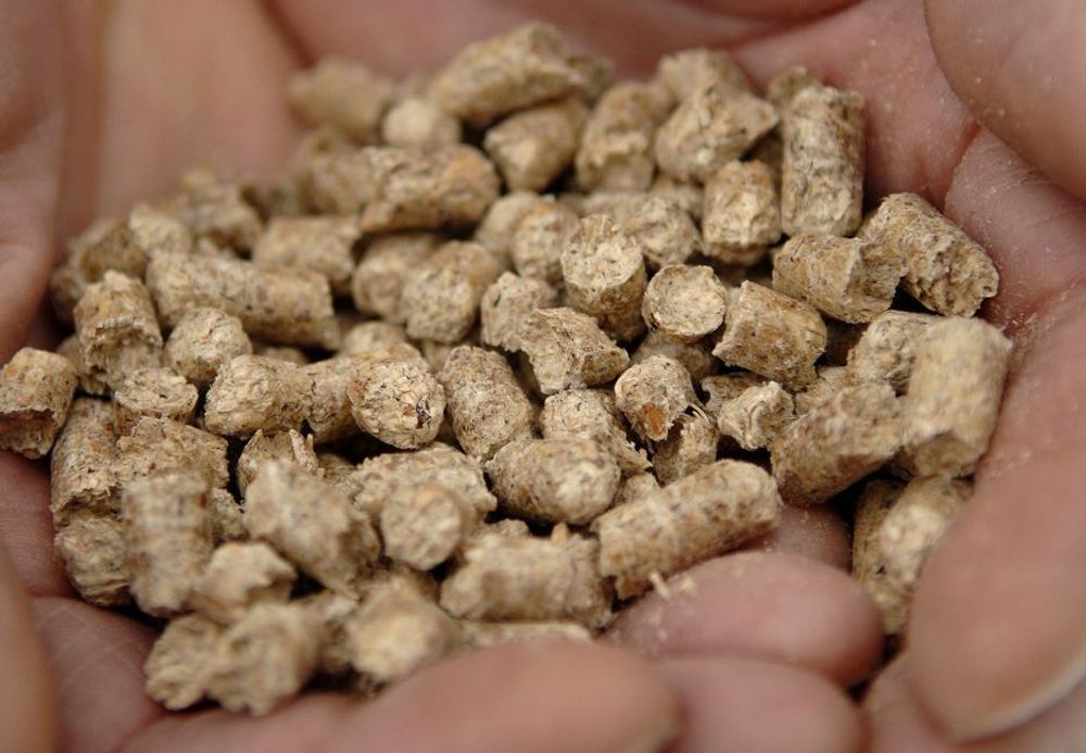 MANGLER: Infrastrukturen mangler for at pellets skal ta seg opp i Norge, mener Norges eneste pelletsprodusent, Bionordic.