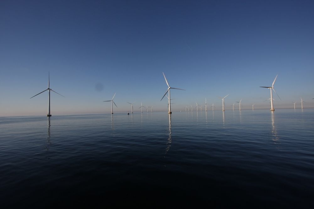 SVENSK HAVVIND: Dette er svenske Lillgrund, en havvindpark på 110 megawatt (MW). Denne var en av de største parkene i verden, men er allerede blitt liten. Verdens største vindpark ligger nå i USA og er på 781,5 MW. I Canada planlegges en vindpark på 4400 MW.