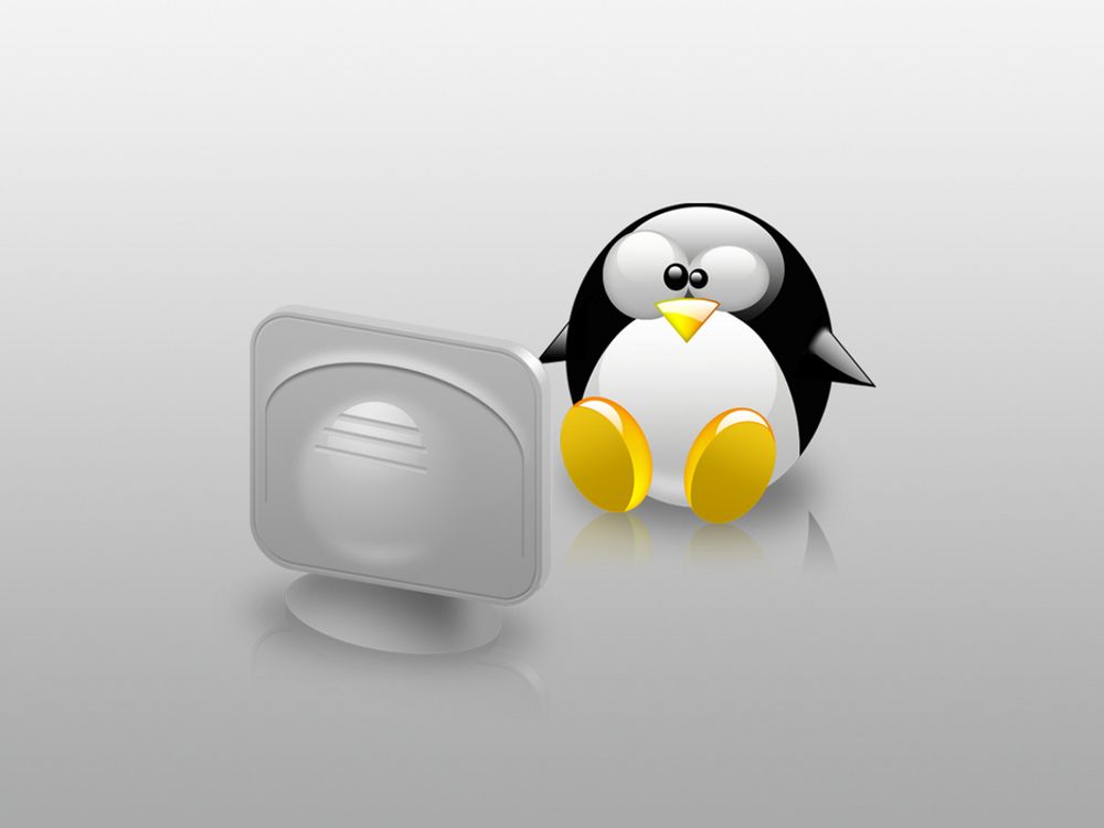 Symbolet på Linux - den lille, blide pingvinen - får hjelp av Novell til på bli enda bedre kjent.