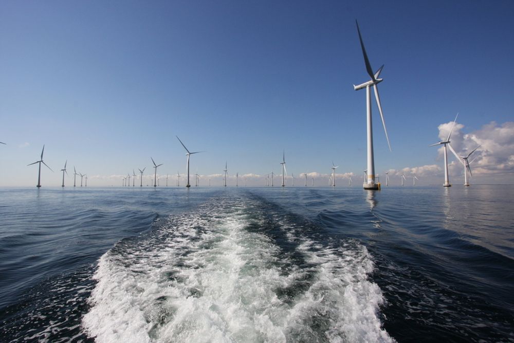 MISFORNØYD: Fiskere og ornitologer vil aksjonere mot den planlagte havvindparken på Doggerbank, som Statoil og Statkraft ligger godt an til å få bygge. (illustrasjonsfoto)