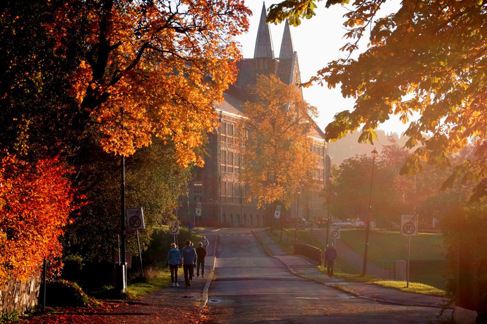 NTNU: Bedre enn Universitetet i Oslo?