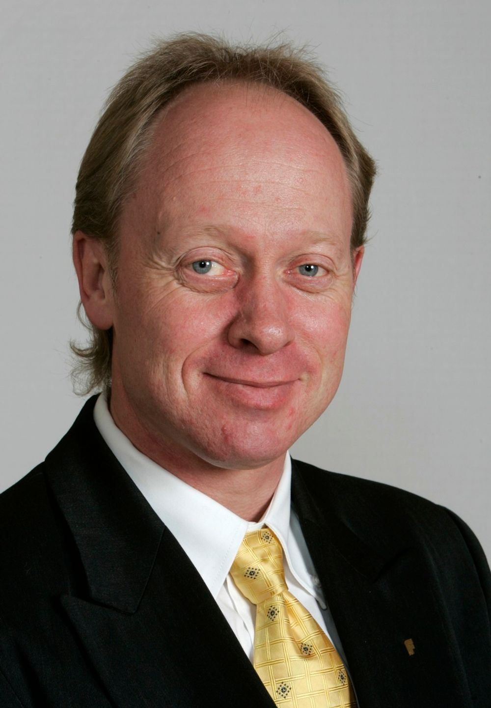 Jan Arild Ellingsen, Fremskrittspartiet