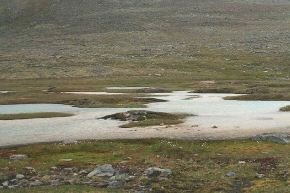 Palsmyr finnes kun i områder med permafrost. I Finnmark er myra på vei til å forsvinne.