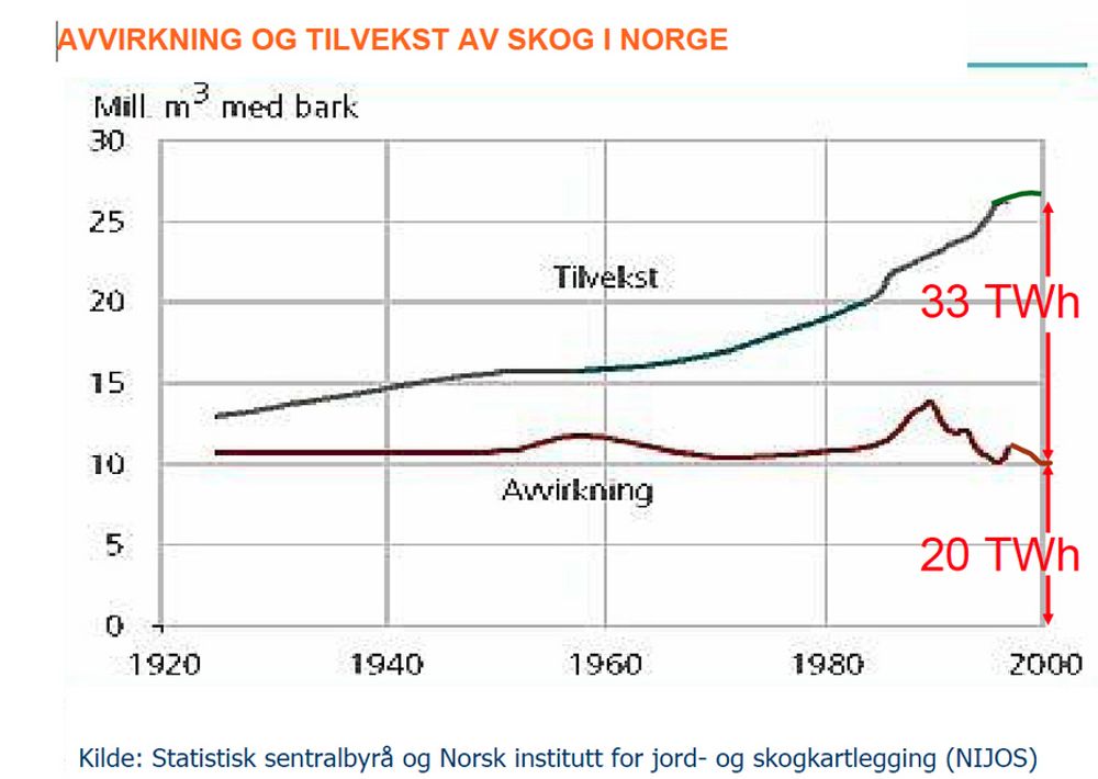 MER OG MER: Tilveksten av skog i Norge øker langt mer enn avvirkningen som går til trematerialer, papirindustri og bioenergi. I år 2000 var gapet på 33 TWh, og det øker.