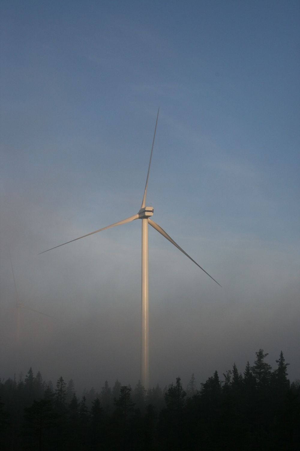 I SKOGEN: Fjällberget vindkraftanlegg i et skogsområde  i Sverige har bedre produksjon enn de aller fleste norske vindkraftverk.