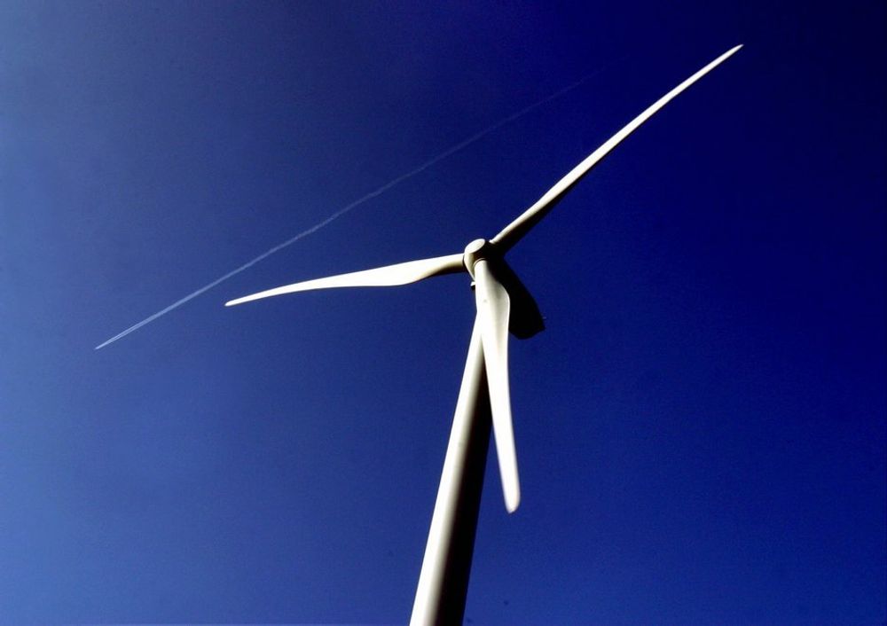 Små vindturbiner på taket eller i hagen har stort potensial for fornybar energiproduksjon, ifølge studie.