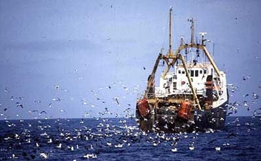 SYNDER: Overfiske er en av årsakene til at Norge kommer dårlig ut i internasjonale imljøstudier.