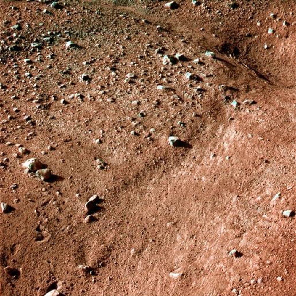 Dette bildet er tatt av Phoneix' Surface Stereo Imager kort tid etter landingen på Mars.Foto: NASA/JPL-Caltech/University of Arizona