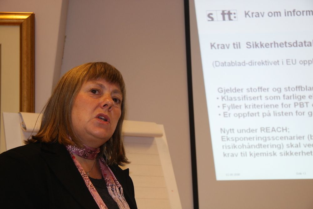MED TIDSFRIST: Sjefingeniør Marit Kopangen i SFT reiser nå rundt og informerer om Reach.