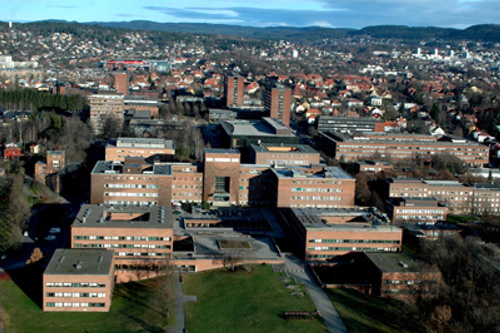 Universitetet i Oslo, Blindern.