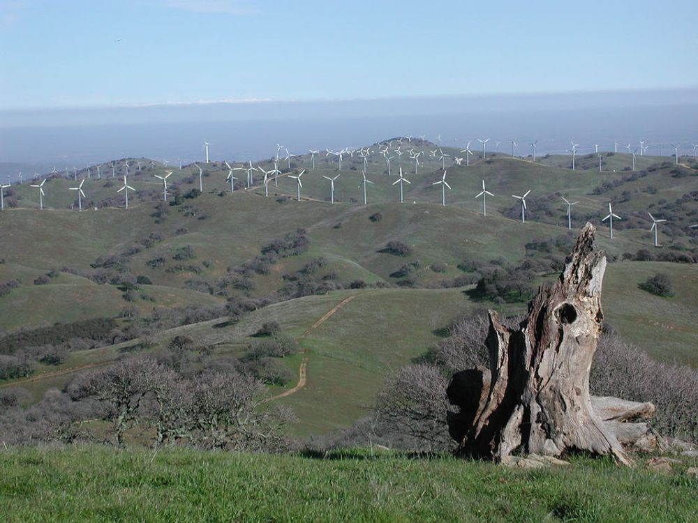 California vil ha el-biler som går på strøm fra vindturbinparker.