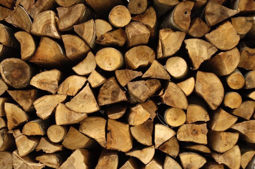 SATSER PÅ NYE OMRÅDER: Biodiesel basert på tømmer, er Norske Skogs nye satsing.