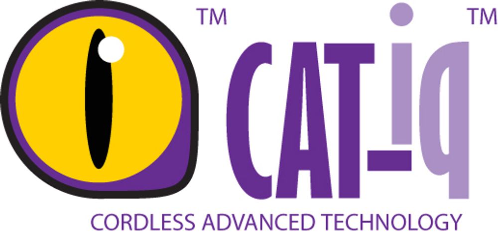 ET MÅL: CAT-iq vil ikke redde verden, men håper å kunne holde hodet over vannet for de mange produsentene av Dect-telefoner.