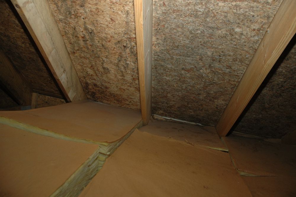 Kaldloftet i Frydenlundveien 19 i Halden. Hullete dampsperre gjør at varm luft stiger opp, fukten kondenserer og gir muggsopp.