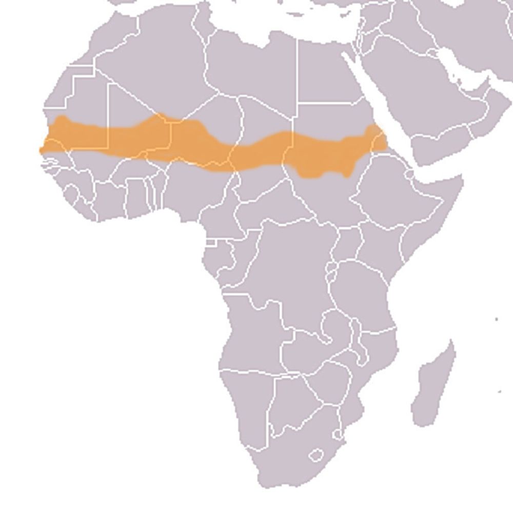 UTSATT: For 12.500 år siden var Sahel en del av Sahara-ørkenen. Området, som for det meste består av savanne, får 150-500 mm nedbør årlig. Nå ser det ut til regnmønsteret kan bli utsatt for fatale endringer grunnet global oppvarming.