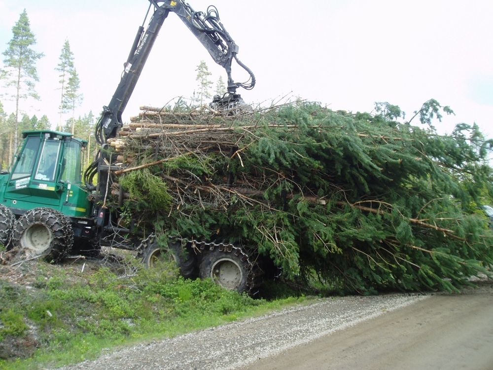 Skogsmaskinene kan gå varme dersom de skal forsyne flere biokraftverk  med råstoff fra skogsdrift.
