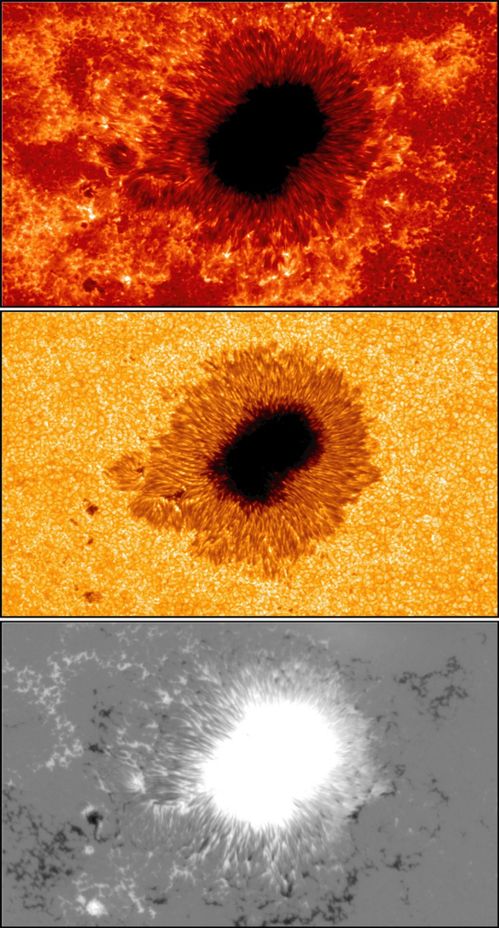 VIKTIG: Bilder av en solflekk sett i Ca II H spektrallinje (øverst), G-band (i midten) og et magnetogram (nederst).
