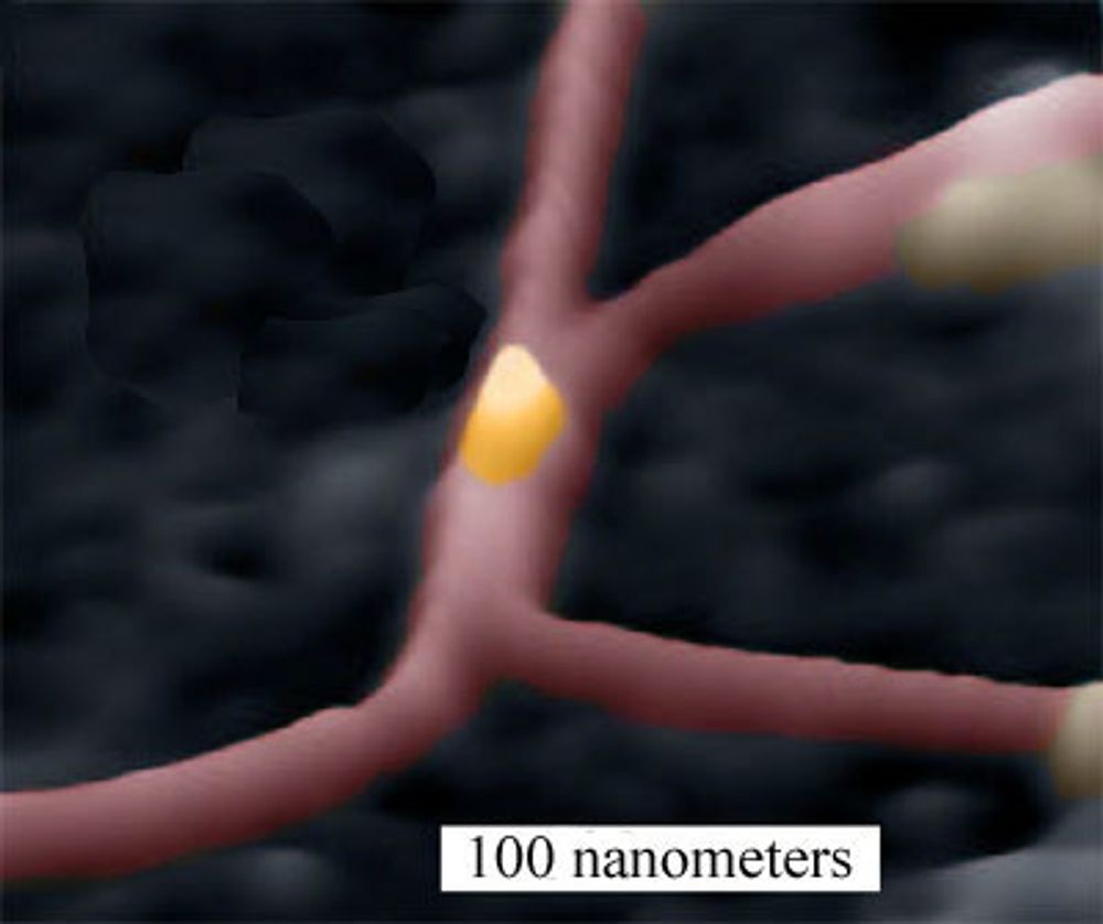 SVENSK: Også svenske forskere har lykkes i å lage nanotransistorer, basert på gull.