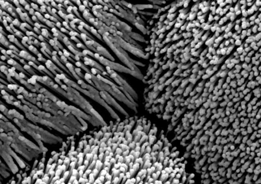 Også forskere ved universitetet i Ohio lager nanofibre av titanoksid.