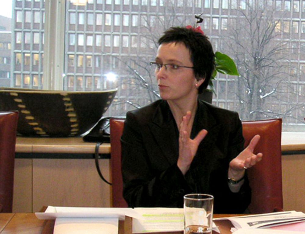 Fornyings- og administrasjonsminister Heidi Grande Røys (SV)ga i juni opp sikkerhetsavtalen i sin nåværende form og løser avtalen med BBS. Ny portal vil først være på plass i 2008.