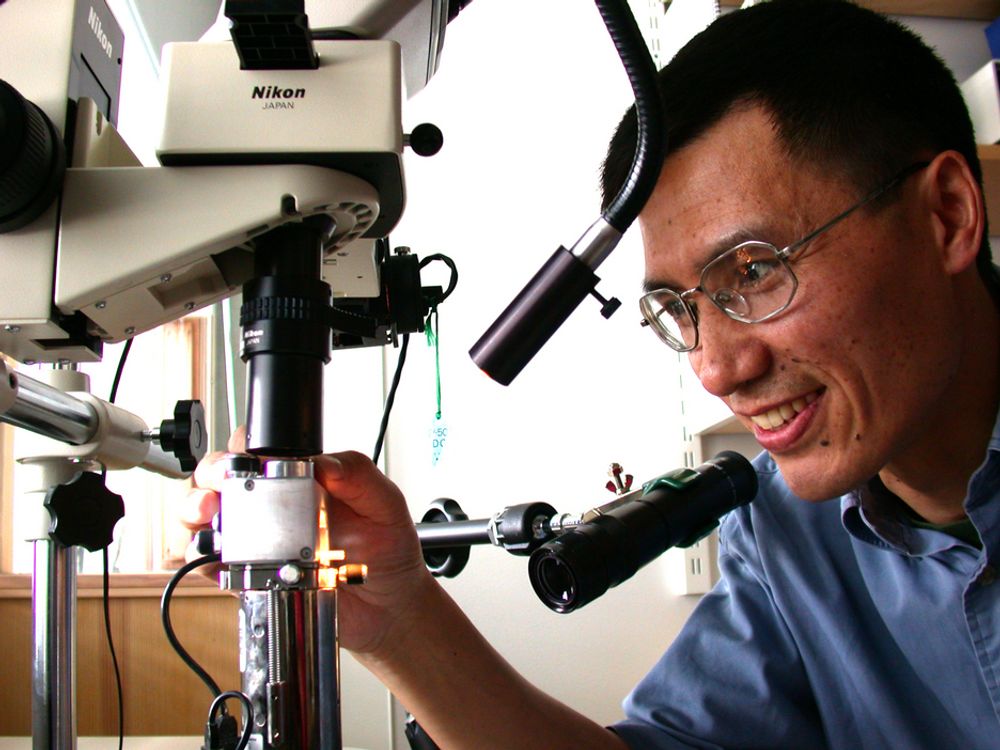 Professor Zhiliang Zhang skal lede det nye nanomekaniske laboratoriet på Gløshaugen.