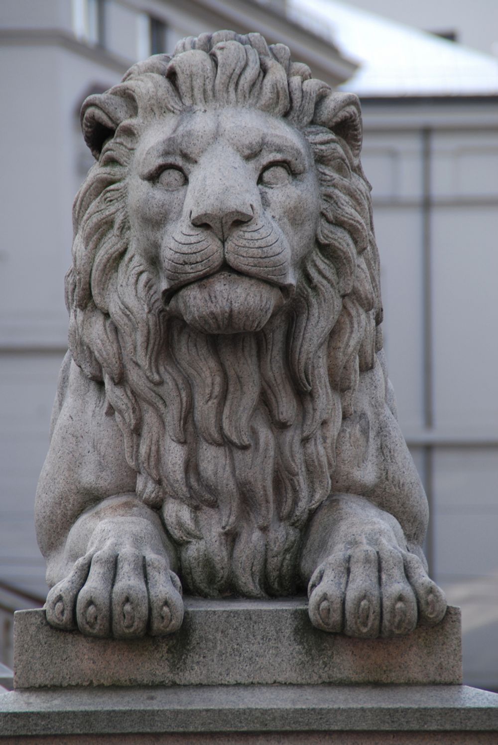 Løve på Løvebakken.