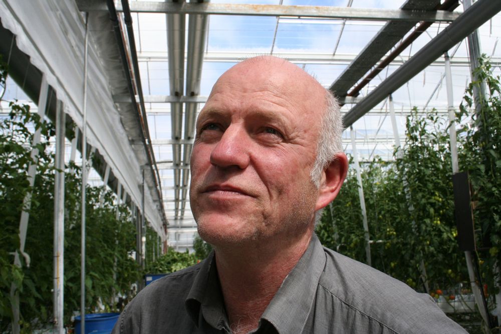 GARTNERI: Kåre Wiig driver et av landets største gartnerier. Her dyrker han blant annet tomater, agurker, paprika og småplanter.