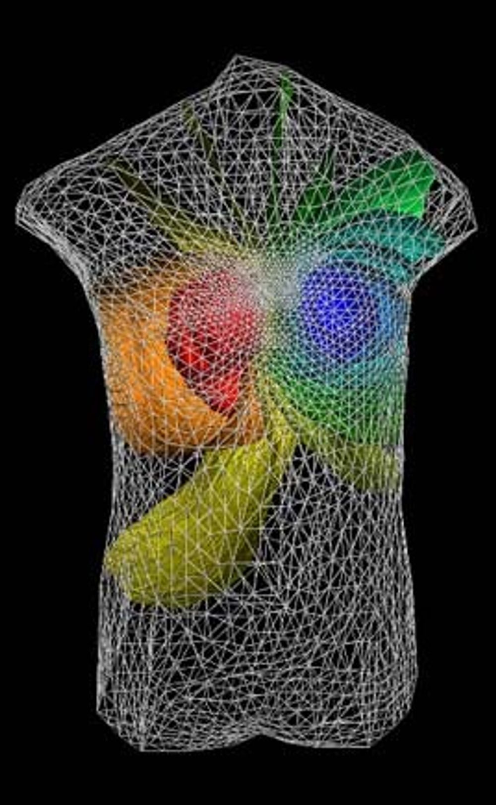 SIMULERER HJERTE: Forskerne ved Simula-senteret jobber med å finne en fullstendig modell som kobler den elektriske aktiviteten med hjertets bevegelse og blodflyt. Ill.: Simula Research Laboratory