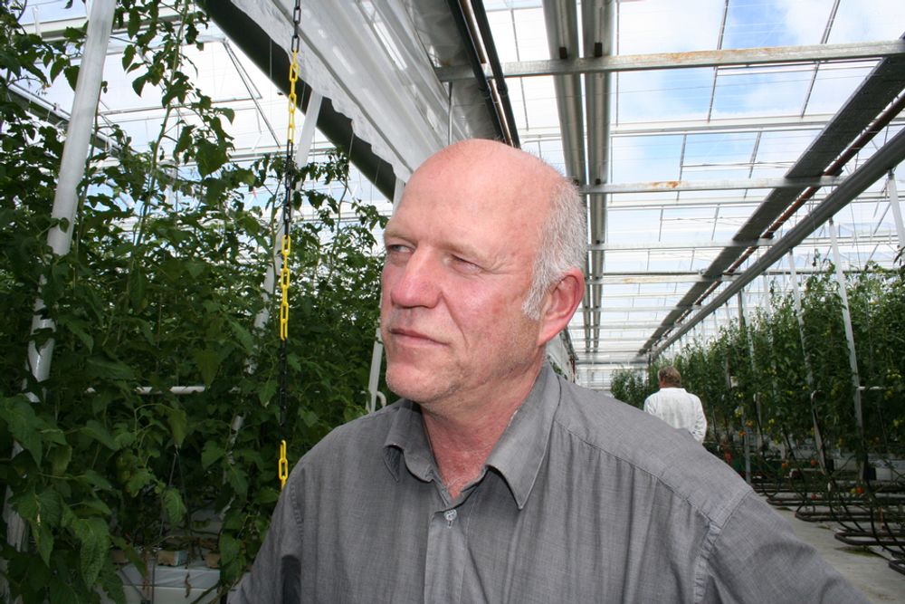 GARTNERI: Kåre Wiig driver et av landets største gartnerier. Her dyrker han blant annet tomater, agurker, paprika og småplanter.