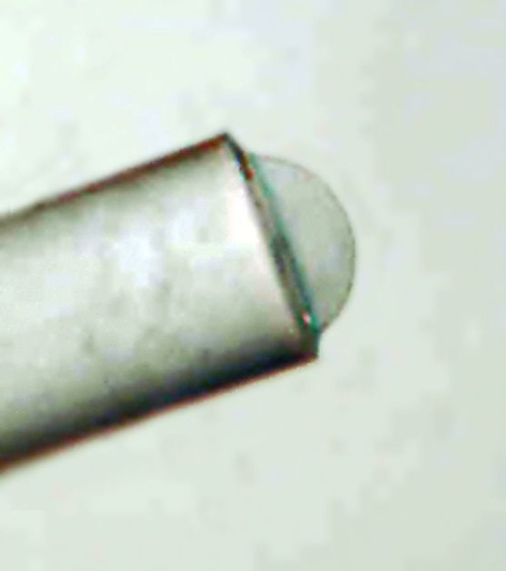 I MIKROSKOPET:I spissen av det optiske fiberet sitter en liten halvkule med smart hydrogel som endrer seg med konsentrasjonen av antigener.